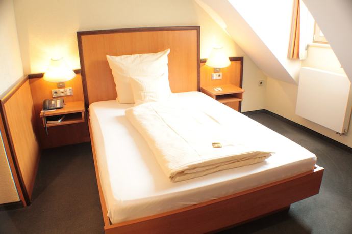 Imagen de la habitación del Hotel Blauer Wolf. Foto 10