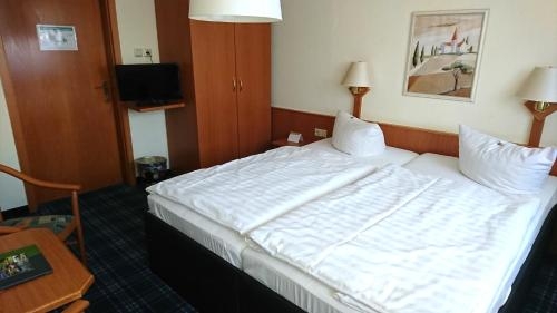 Imagen de la habitación del Hotel Bleske Im Spreewald. Foto 6