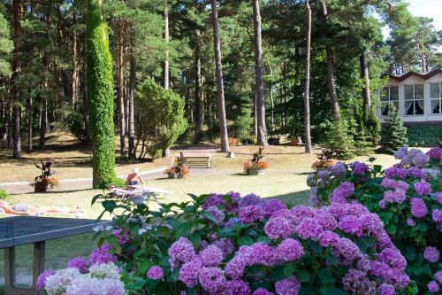 Imagen general del Hotel Bocianie Gniazdo. Foto 13