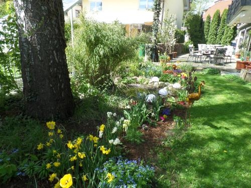 Imagen general del Hotel Brandl. Foto 5