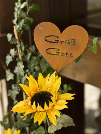 Imagen general del Hotel Bräukeller. Foto 5