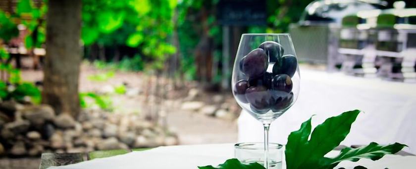 Imagen de los exteriores del Hotel Br&ouml;&szlig;ler. Foto 12