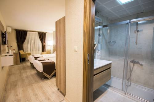 Imagen de la habitación del Hotel Business Han. Foto 5