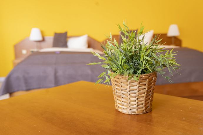 Imagen de la habitación del Hotel Café Nahetal. Foto 2