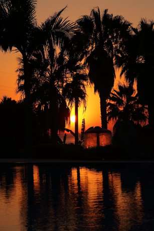 Imagen de la habitación del Hotel Calabrisella. Foto 12