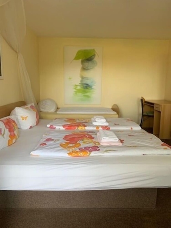 Imagen de la habitación del Hotel Carolaruh. Foto 9