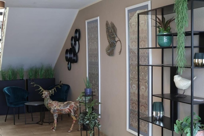 Imagen de los interiores del Hotel Carolaruh. Foto 16