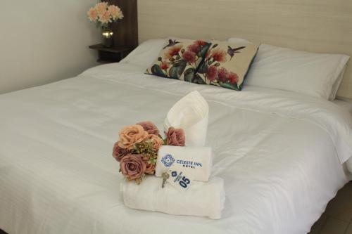 Imagen general del Hotel Celeste Inn Chinauta- Fusagasugá. Foto 10