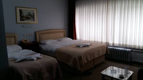 Imagen de la habitación del Hotel Cesmeli, BURSA. Foto 6