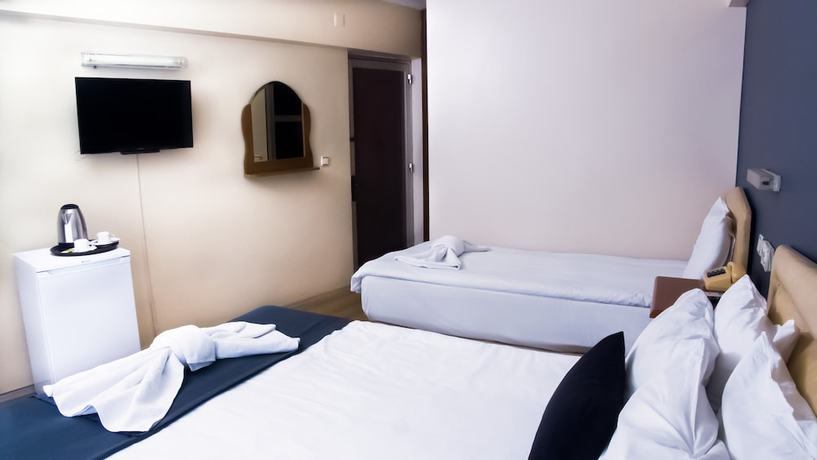 Imagen de la habitación del Hotel Cesmeli, Osmangazi. Foto 4