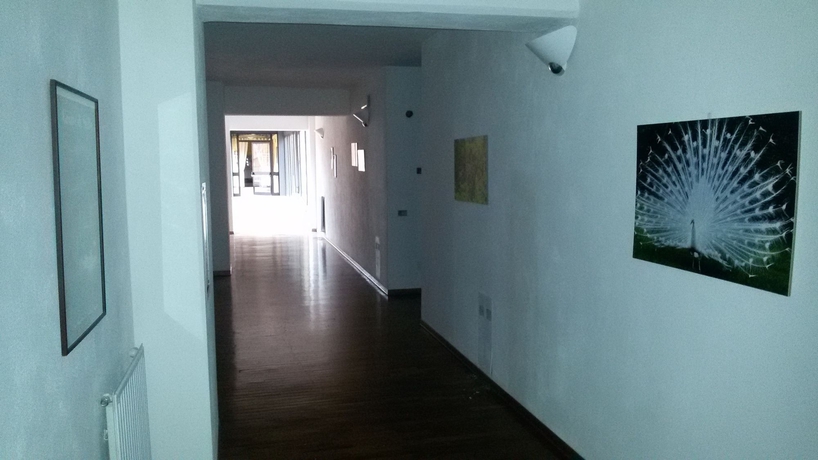 Imagen de los interiores del Hotel Cristallo. Foto 12