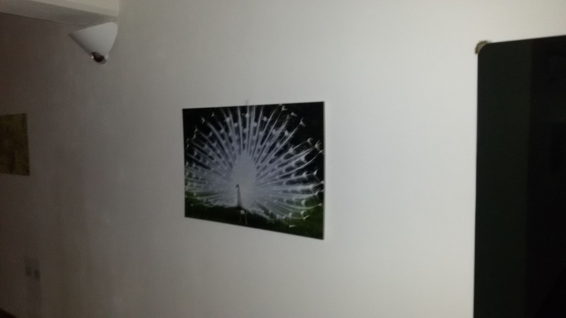 Imagen de los interiores del Hotel Cristallo. Foto 13