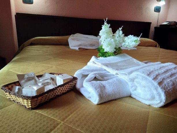 Imagen de la habitación del Hotel Cristallo. Foto 11