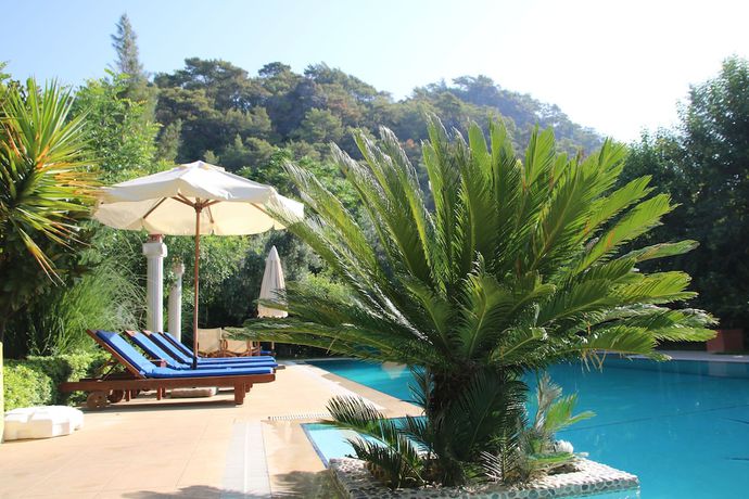 Imagen de la piscina del Hotel Dalos. Foto 11