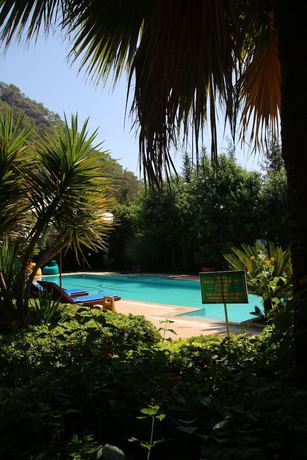 Imagen de la piscina del Hotel Dalos. Foto 12