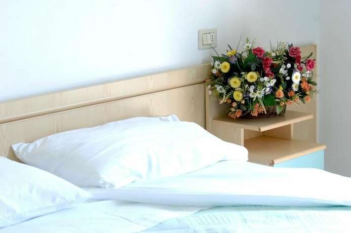 Imagen general del Hotel D\'annunzio. Foto 13