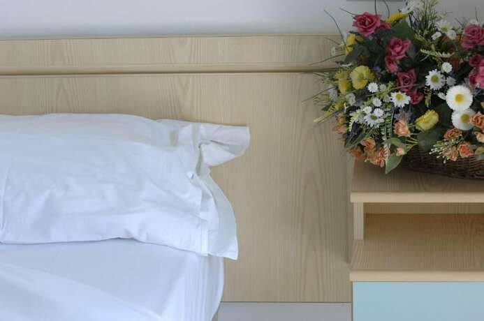 Imagen general del Hotel D\'annunzio. Foto 16