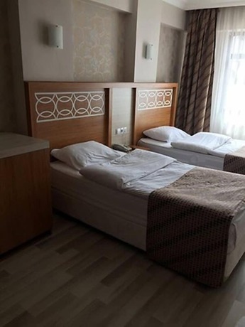 Imagen de la habitación del Hotel Dedemin 2. Foto 8