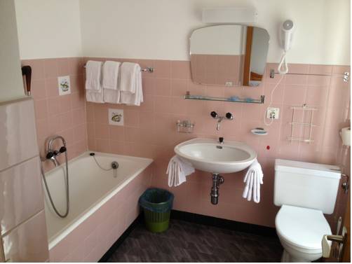 Imagen de la habitación del Hotel Des Alpes. Foto 10