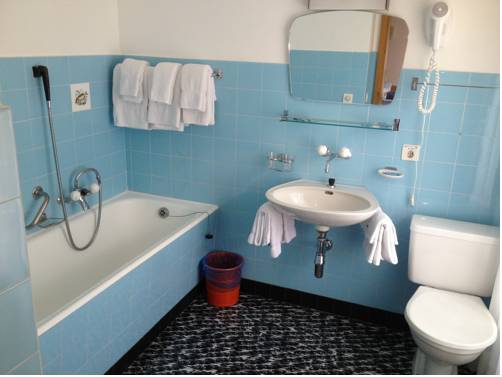 Imagen de la habitación del Hotel Des Alpes. Foto 12