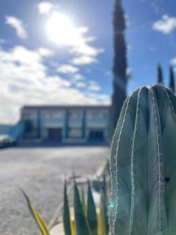 Imagen general del Hotel Diamante. Foto 9