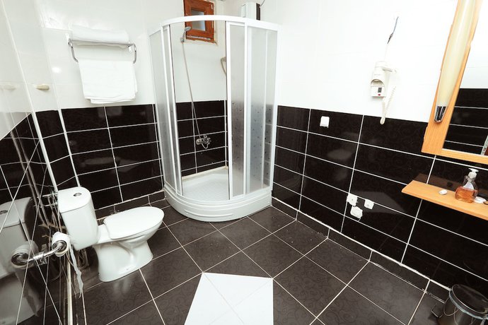 Imagen de la habitación del Hotel Diyarbakir. Foto 5