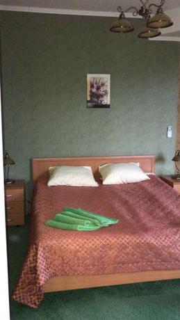 Imagen de la habitación del Hotel Dom Uchenykh. Foto 7