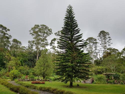 Imagen de la habitación del Hotel Dos Rios. Foto 6