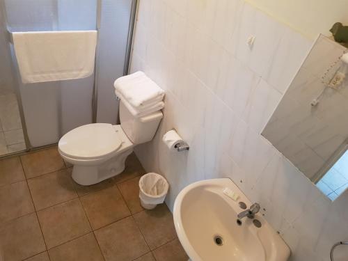 Imagen de la habitación del Hotel Dos Rios. Foto 8