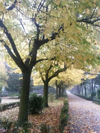 Imagen de los exteriores del Hotel Du Parc, Atri. Foto 10