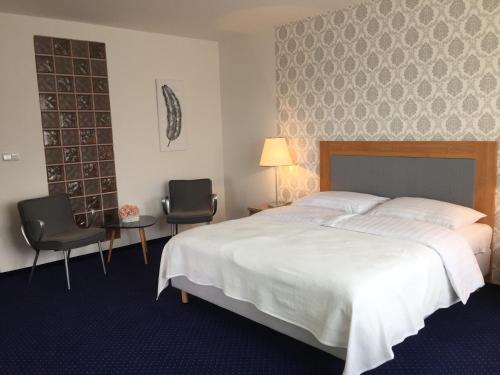 Imagen general del Hotel Dvůr. Foto 2