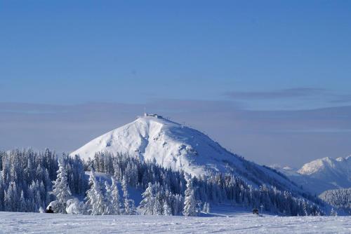 Imagen general del Hotel Edelweiss, Itter. Foto 4