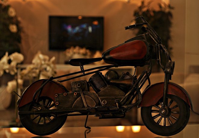 Imagen de los interiores del Hotel Edirne Palace. Foto 16