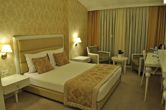 Imagen de la habitación del Hotel Edirne Palace. Foto 4