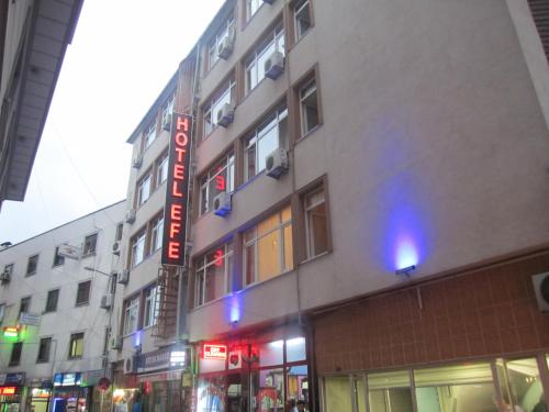 Imagen general del Hotel Efe. Foto 2