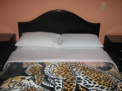 Imagen de la habitación del Hotel Ejecutivo. Foto 4