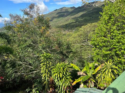 Imagen general del Hotel El Bohio. Foto 12