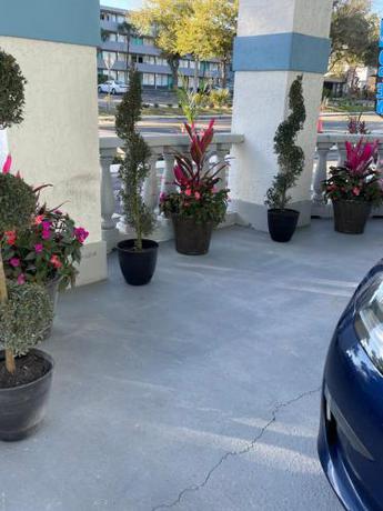 Imagen general del Hotel Elite, Altamonte Springs. Foto 6