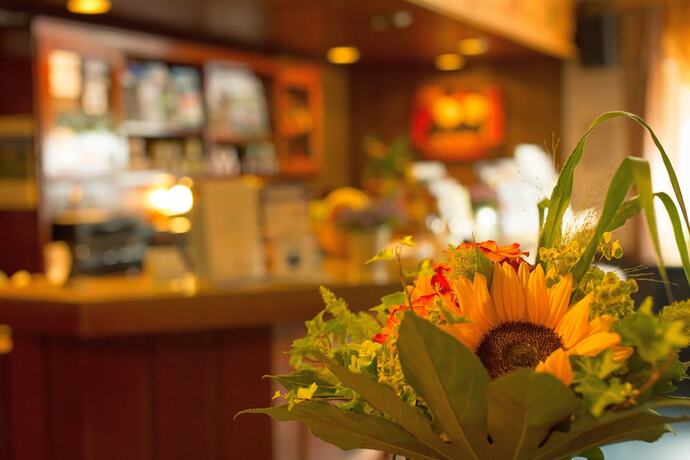 Imagen general del Hotel Emmerich. Foto 6