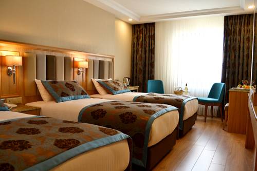 Imagen de la habitación del Hotel Erden Sarayevo. Foto 1