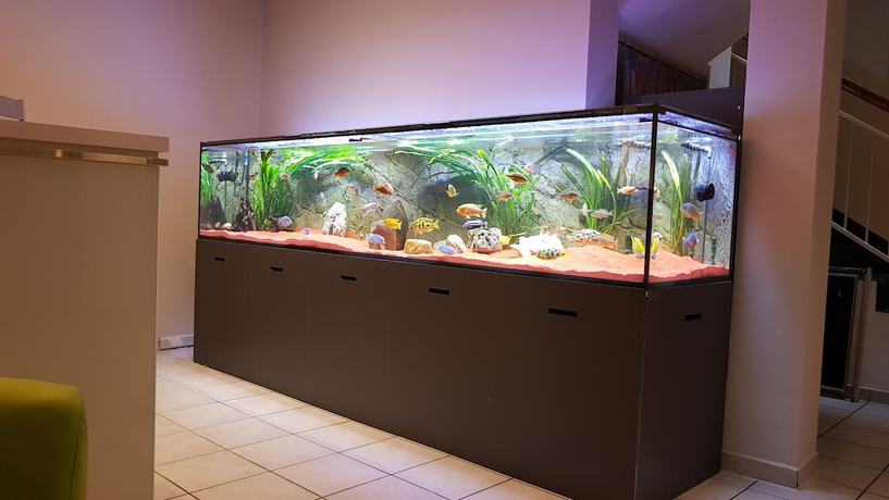 Imagen de los interiores del Hotel Evabrunnen. Foto 20