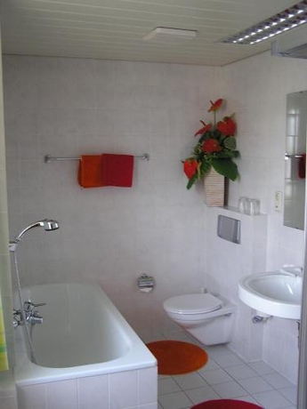 Imagen general del Hotel Falter, Hof. Foto 1