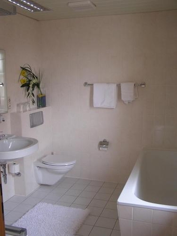 Imagen de la habitación del Hotel Falter, Hof. Foto 9