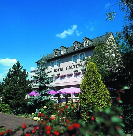 Imagen general del Hotel Falter, Hof. Foto 2