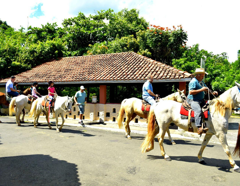 Imagen general del Hotel Fazenda Fonte Colina Verde. Foto 18