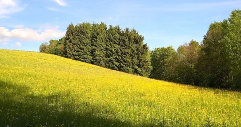 Imagen general del Hotel Ferien vom Ich. Foto 3