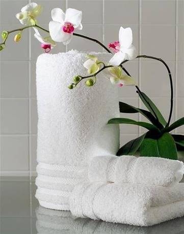 Imagen general del Hotel Flash. Foto 17