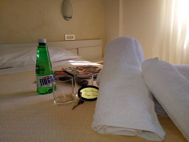 Imagen de la habitación del Hotel Fleming. Foto 18