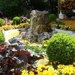 Imagen general del Hotel Forster. Foto 5