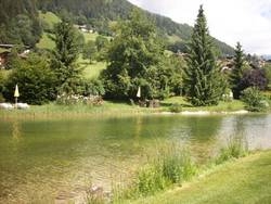 Imagen general del Hotel Forster. Foto 22